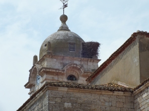 storks nest on top of church
